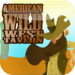 American Wild West Tavern